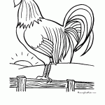 passaros para colorir