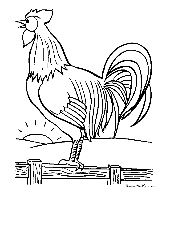 passaros para colorir