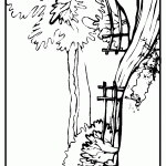 passaros para colorir