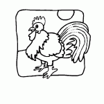 passaros para colorir