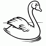 passaros para colorir