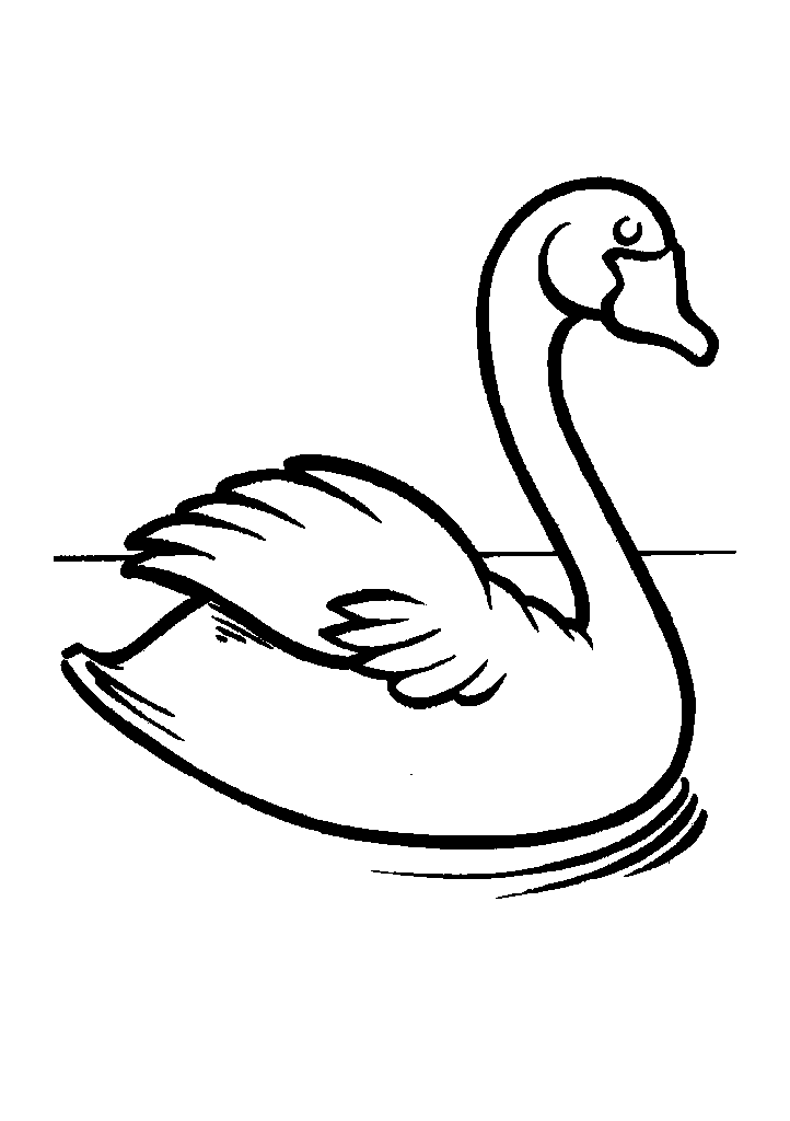 passaros para colorir