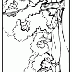 passaros para colorir
