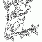 passaros para colorir