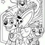 patrulha canina para colorir