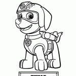 patrulha canina para colorir