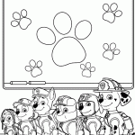 patrulha canina para colorir