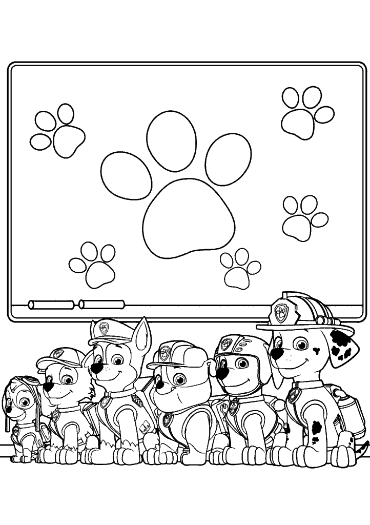 patrulha canina para colorir