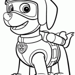 patrulha canina para colorir