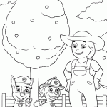 patrulha canina para colorir