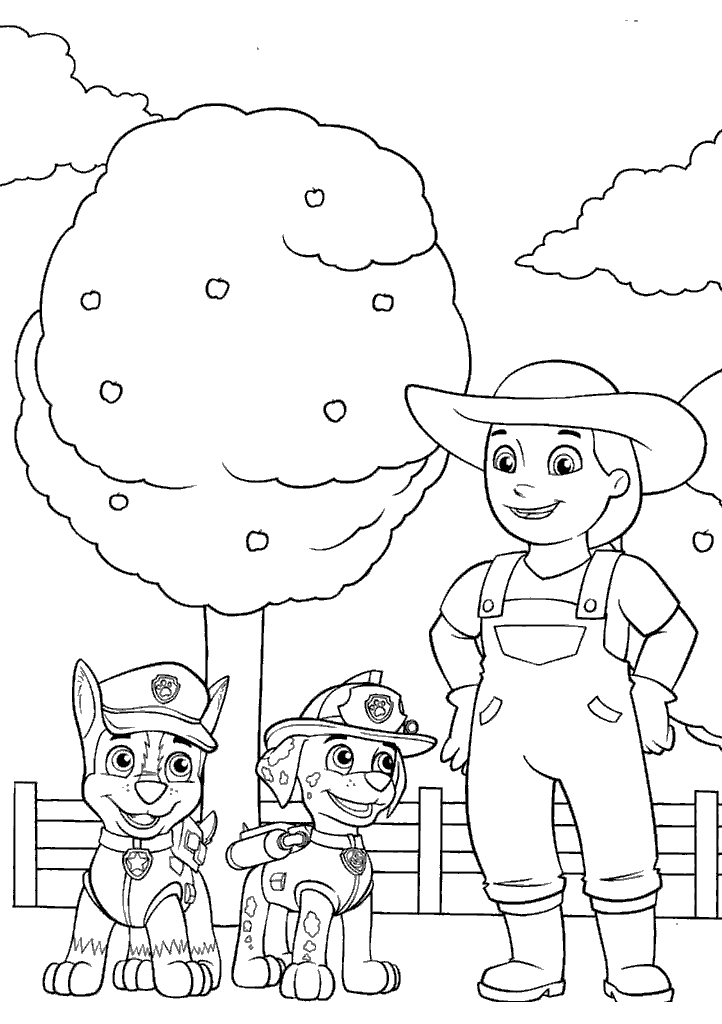patrulha canina para colorir