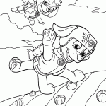 patrulha canina para colorir