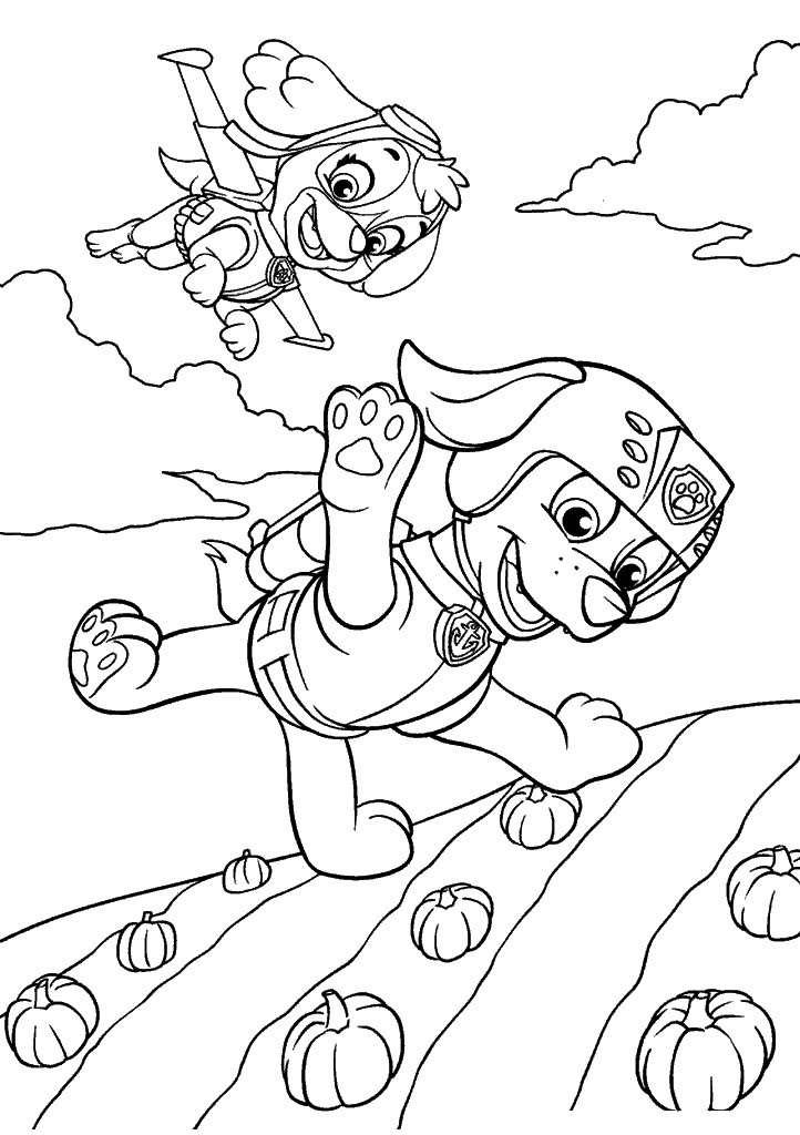 patrulha canina para colorir