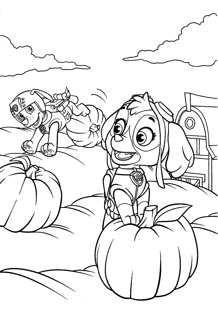 patrulha canina para colorir