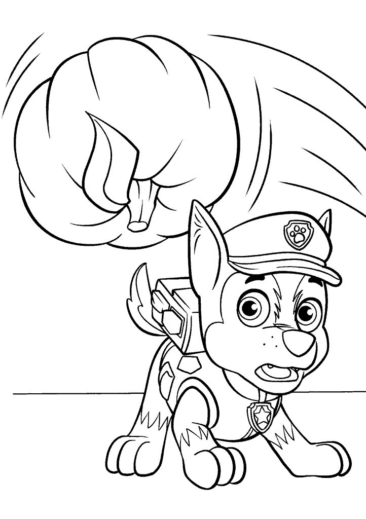 patrulha canina para colorir