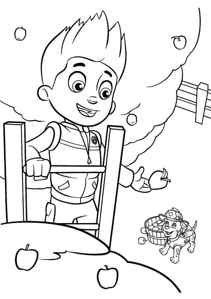 patrulha canina para colorir