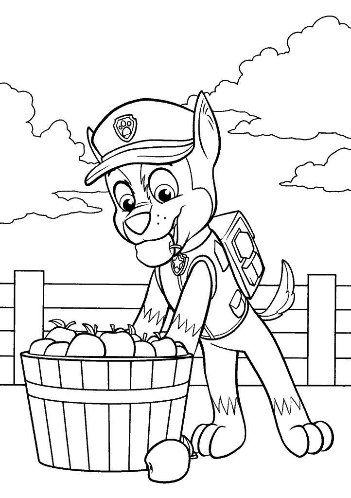 patrulha canina para colorir