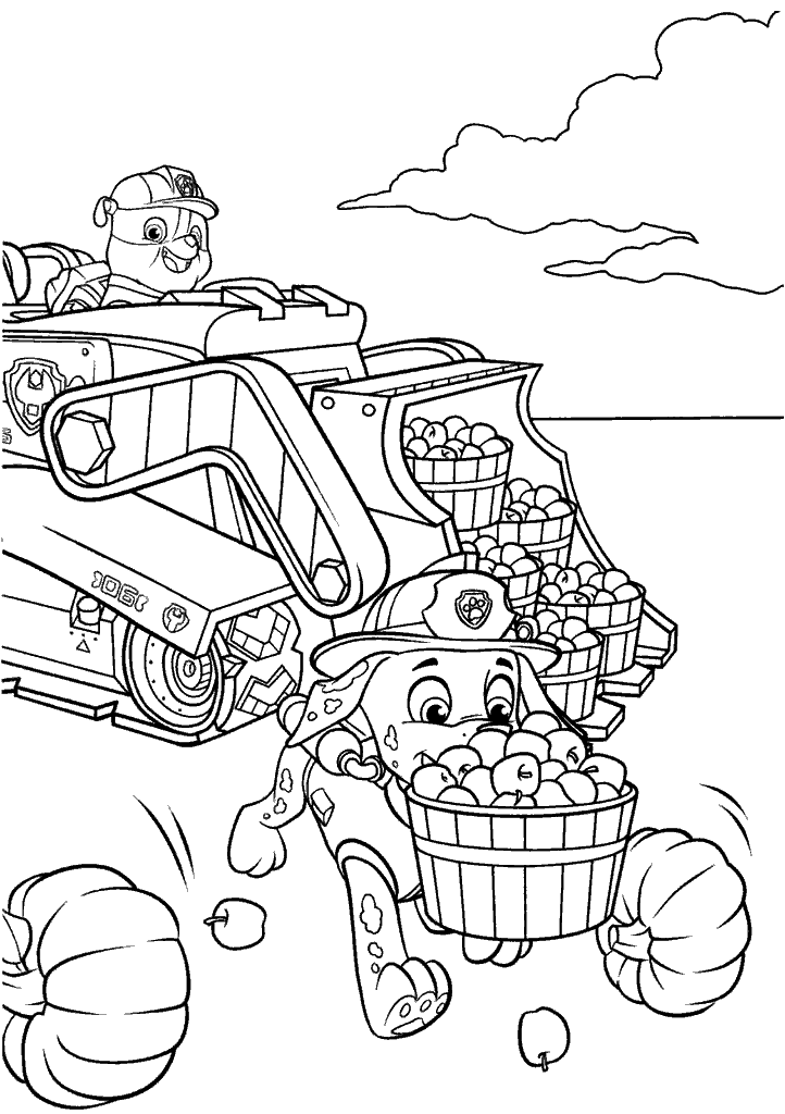 patrulha canina para colorir