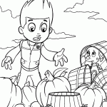 patrulha canina para colorir
