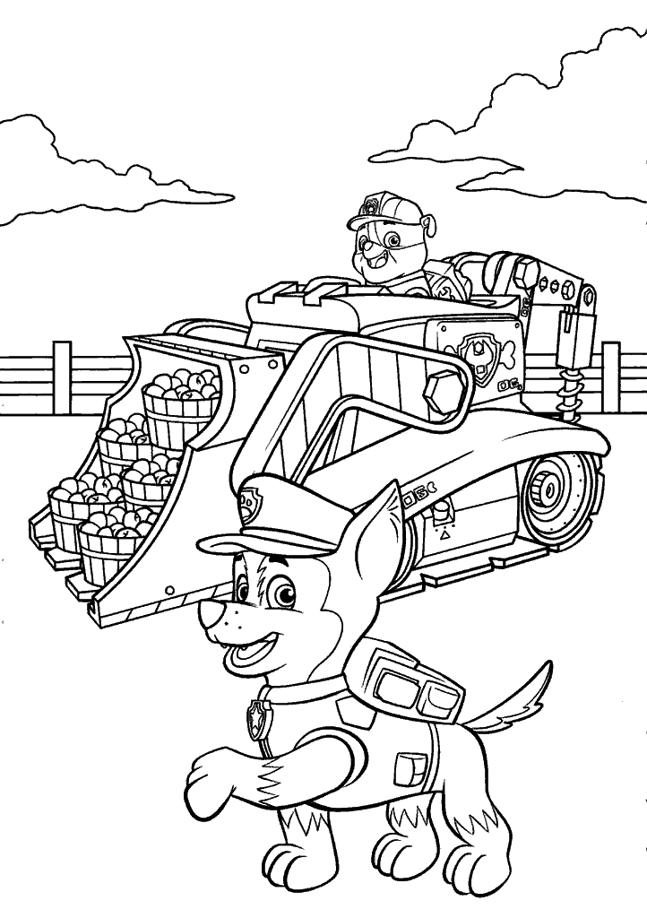 patrulha canina para colorir