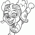 patrulha canina para colorir
