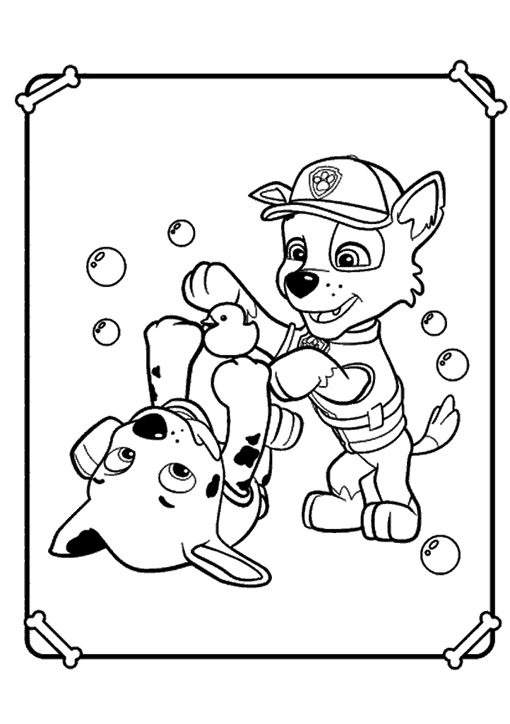 patrulha canina para colorir