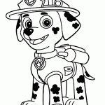 patrulha canina para colorir