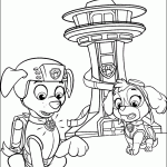 patrulha canina para colorir