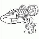 patrulha canina para colorir
