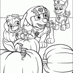 patrulha canina para colorir