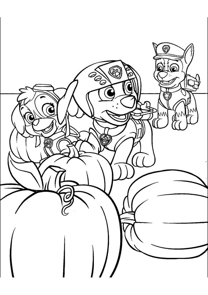 patrulha canina para colorir
