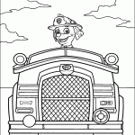 patrulha canina para colorir