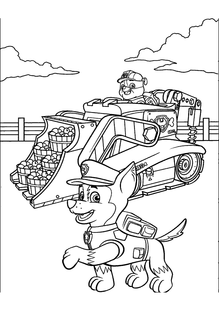patrulha canina para colorir