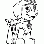 patrulha canina para colorir