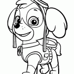 patrulha canina para colorir