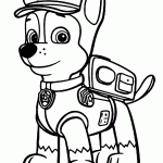 patrulha canina para colorir
