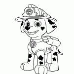 patrulha canina para colorir