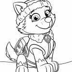 patrulha canina para colorir