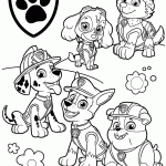 patrulha canina para colorir