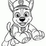 patrulha canina para colorir