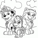 patrulha canina para colorir