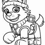 patrulha canina para colorir