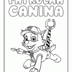 patrulha canina para colorir