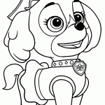 patrulha canina para colorir