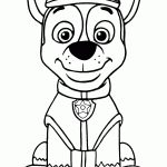 patrulha canina para colorir