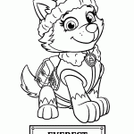 patrulha canina para colorir