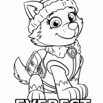 patrulha canina para colorir