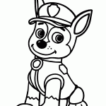 patrulha canina para colorir
