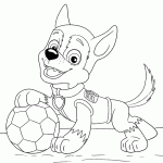 patrulha canina para colorir