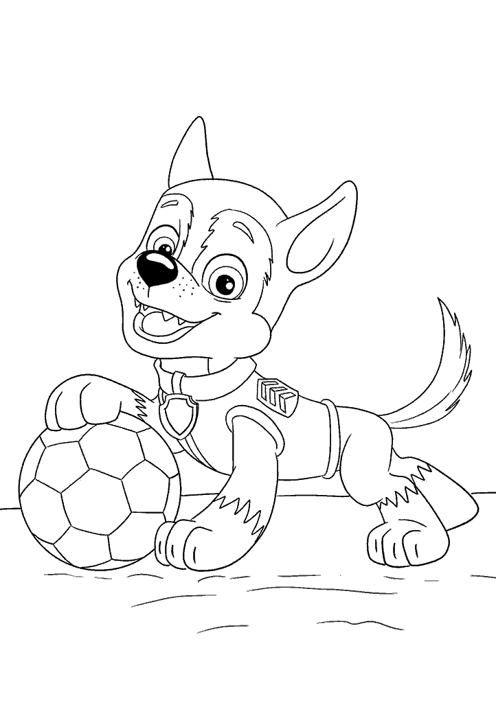 patrulha canina para colorir